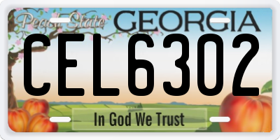 GA license plate CEL6302