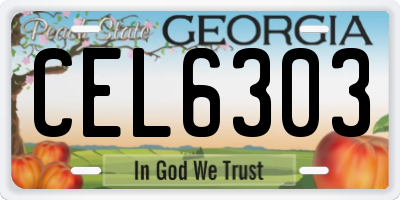GA license plate CEL6303
