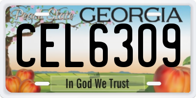 GA license plate CEL6309