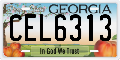 GA license plate CEL6313