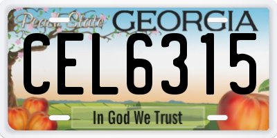 GA license plate CEL6315