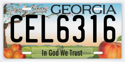 GA license plate CEL6316