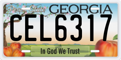 GA license plate CEL6317