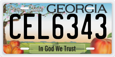 GA license plate CEL6343