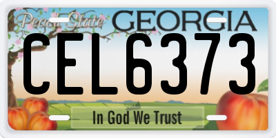 GA license plate CEL6373