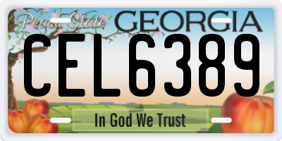 GA license plate CEL6389
