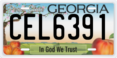 GA license plate CEL6391