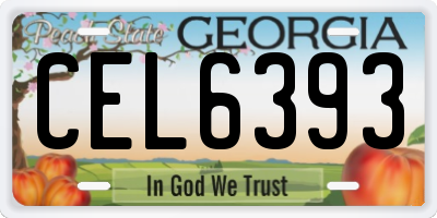 GA license plate CEL6393
