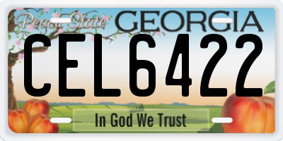 GA license plate CEL6422