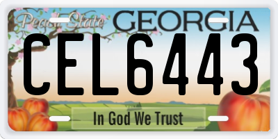 GA license plate CEL6443