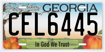 GA license plate CEL6445