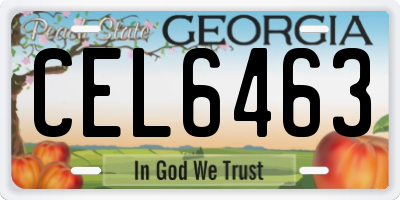 GA license plate CEL6463
