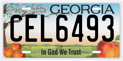 GA license plate CEL6493
