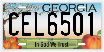 GA license plate CEL6501