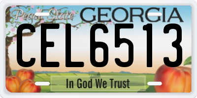GA license plate CEL6513
