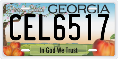 GA license plate CEL6517