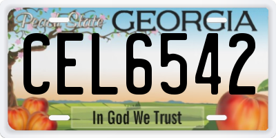 GA license plate CEL6542