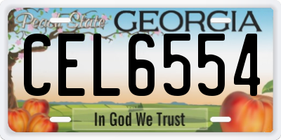 GA license plate CEL6554