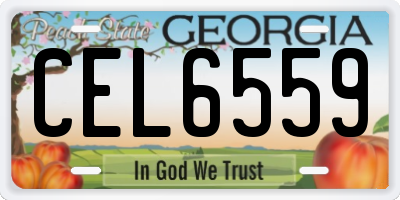 GA license plate CEL6559