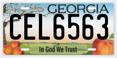 GA license plate CEL6563