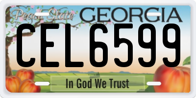 GA license plate CEL6599