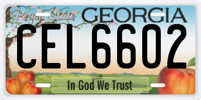 GA license plate CEL6602