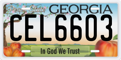 GA license plate CEL6603