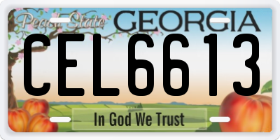 GA license plate CEL6613