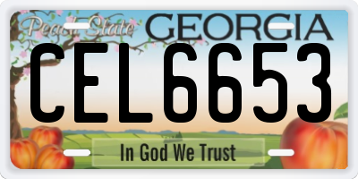 GA license plate CEL6653
