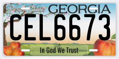 GA license plate CEL6673