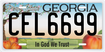GA license plate CEL6699