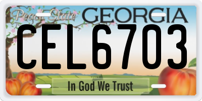 GA license plate CEL6703