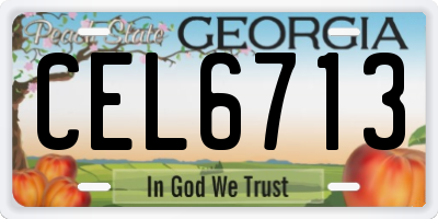 GA license plate CEL6713