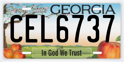 GA license plate CEL6737