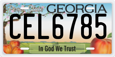 GA license plate CEL6785