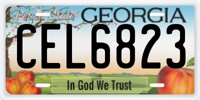 GA license plate CEL6823