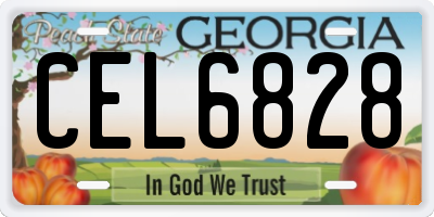 GA license plate CEL6828