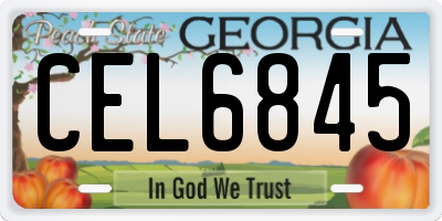 GA license plate CEL6845