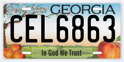GA license plate CEL6863