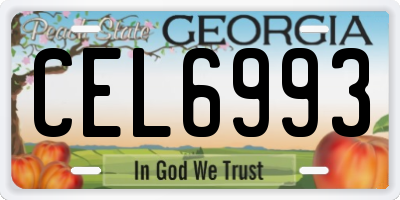 GA license plate CEL6993