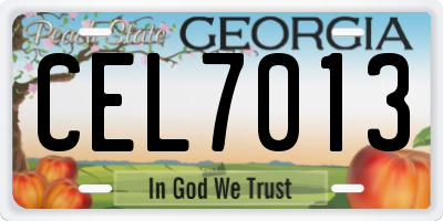 GA license plate CEL7013