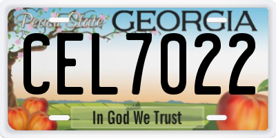 GA license plate CEL7022