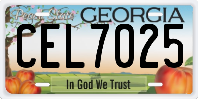 GA license plate CEL7025