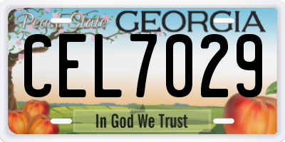 GA license plate CEL7029