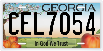 GA license plate CEL7054
