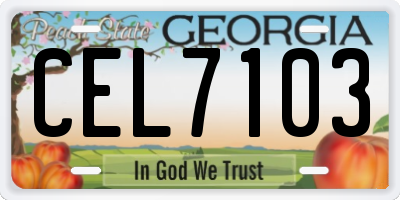 GA license plate CEL7103