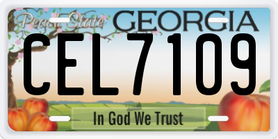 GA license plate CEL7109