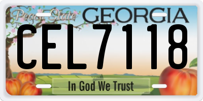 GA license plate CEL7118