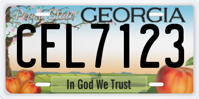 GA license plate CEL7123