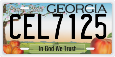 GA license plate CEL7125